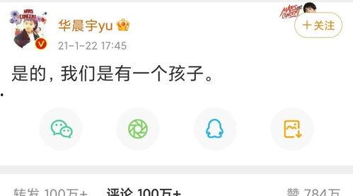 吃瓜娱乐盘点在线观看,在线观看热门节目大盘点