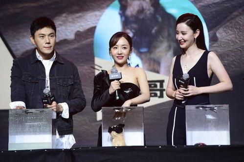 吃瓜新娱乐,揭秘娱乐圈幕后故事